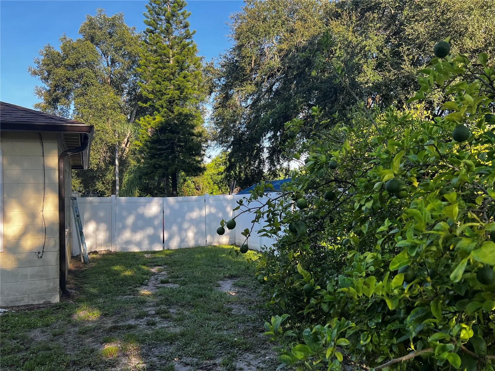 2427 Princeton Ave Property Photo 15