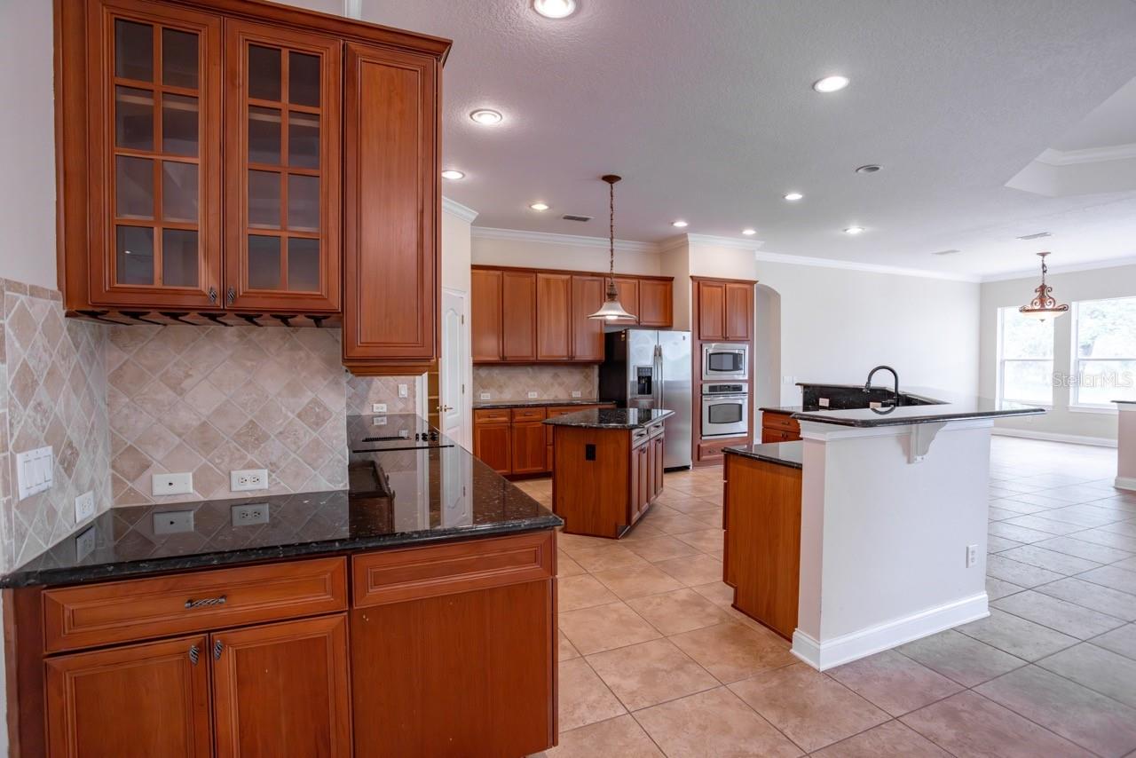 25609 Hawks Run Ln Property Photo 18