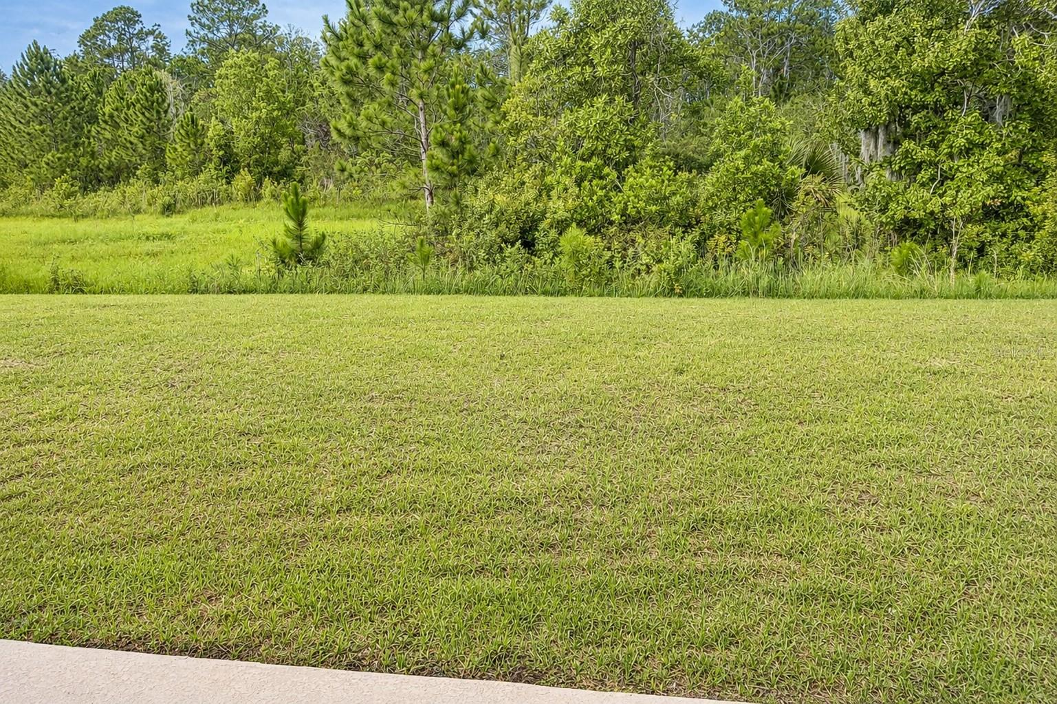 7592 Bent Tree Loop Property Photo 20