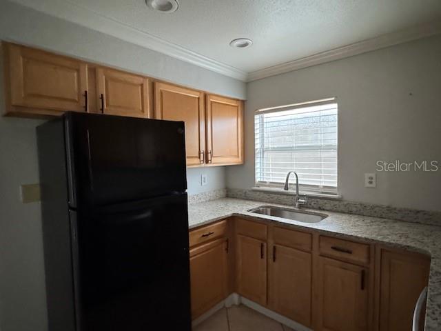 616 Palmer St #b Property Photo 5