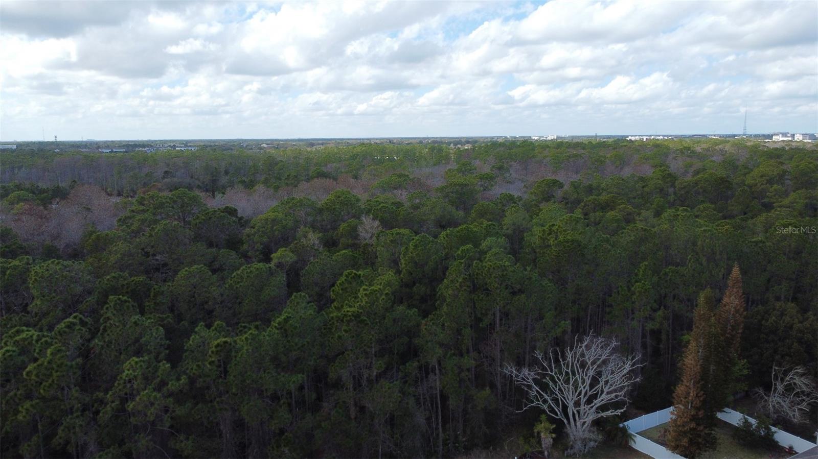 1902 Palmetto Pine Ln Property Photo 36