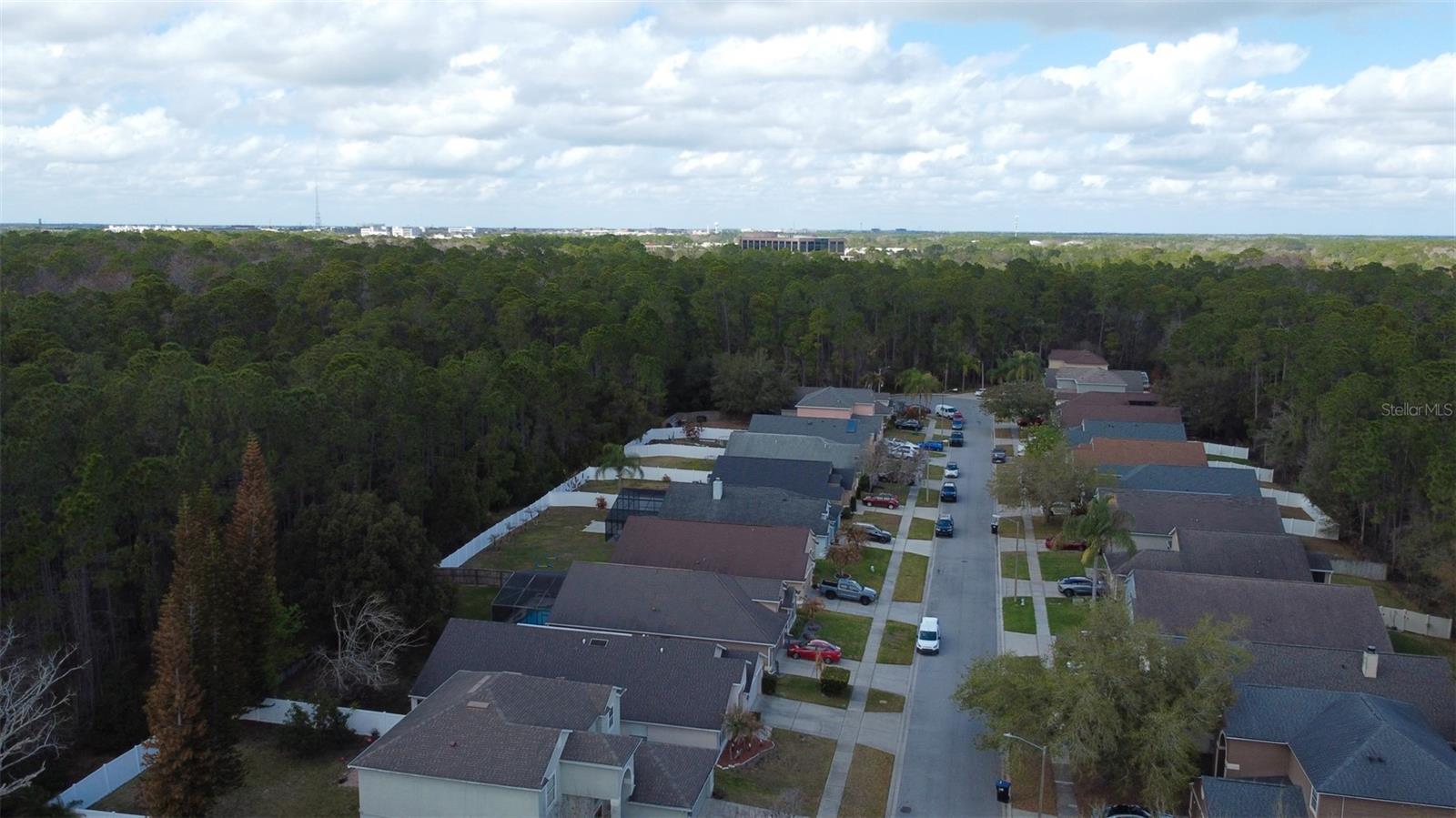 1902 Palmetto Pine Ln Property Photo 37