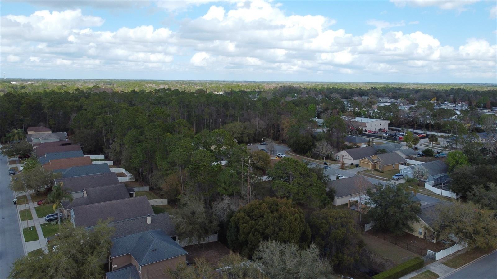 1902 Palmetto Pine Ln Property Photo 38