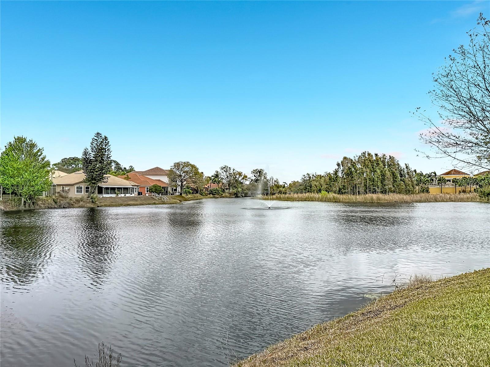 6828 Sombras Way Property Photo 15