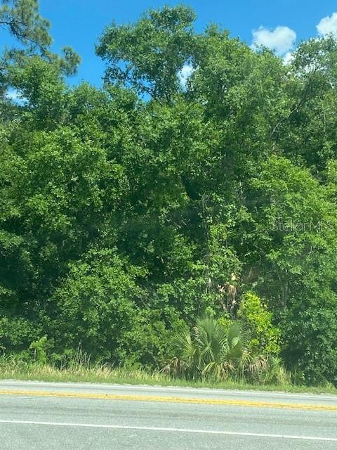 Highway 17 92 N Property Photo 4