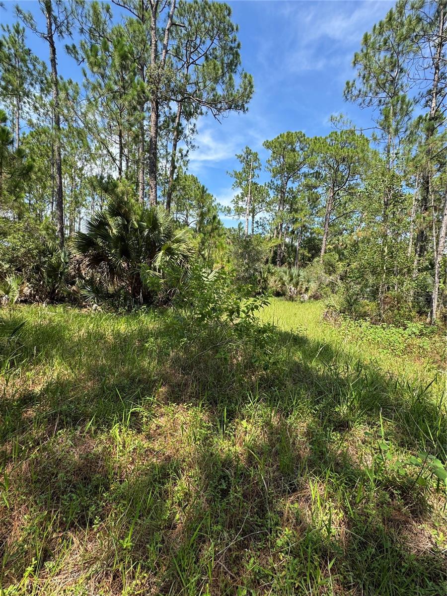 4300 Justa Rd Property Photo 4