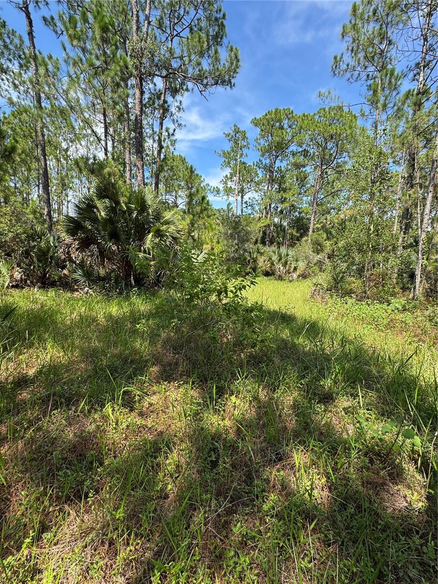 4300 Justa Rd Property Photo 5