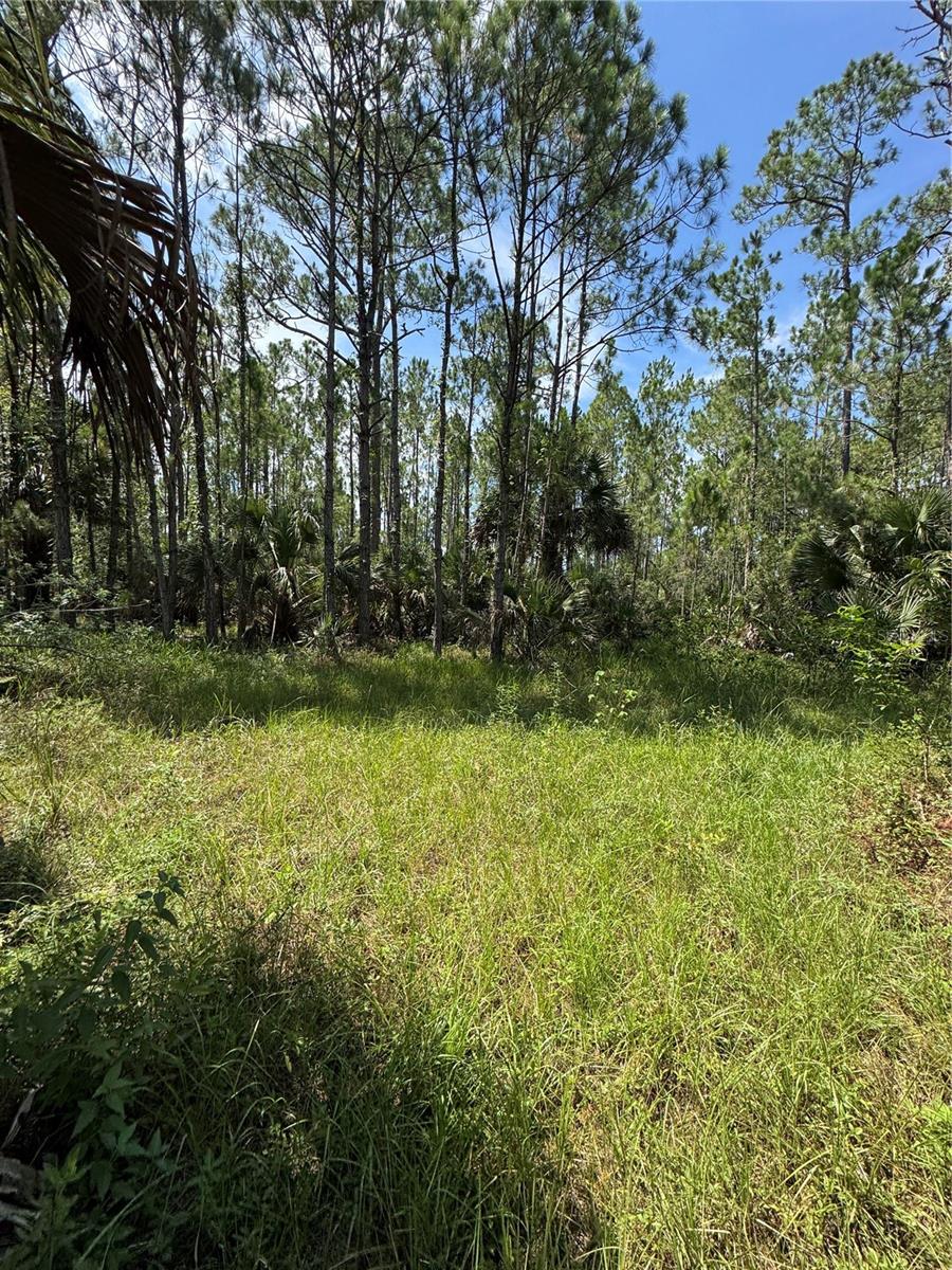 4300 Justa Rd Property Photo 6