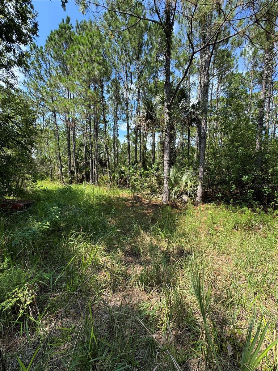 4300 Justa Rd Property Photo 7