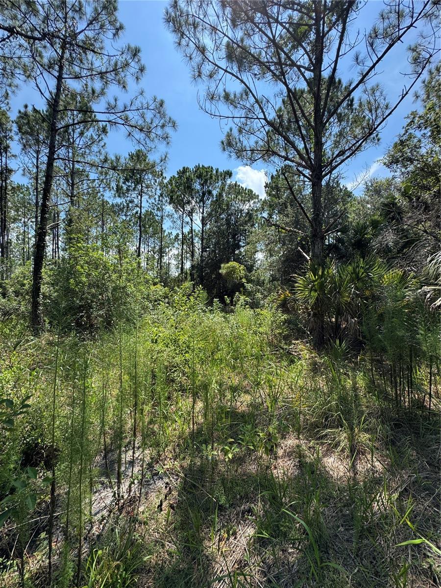 4300 Justa Rd Property Photo 8