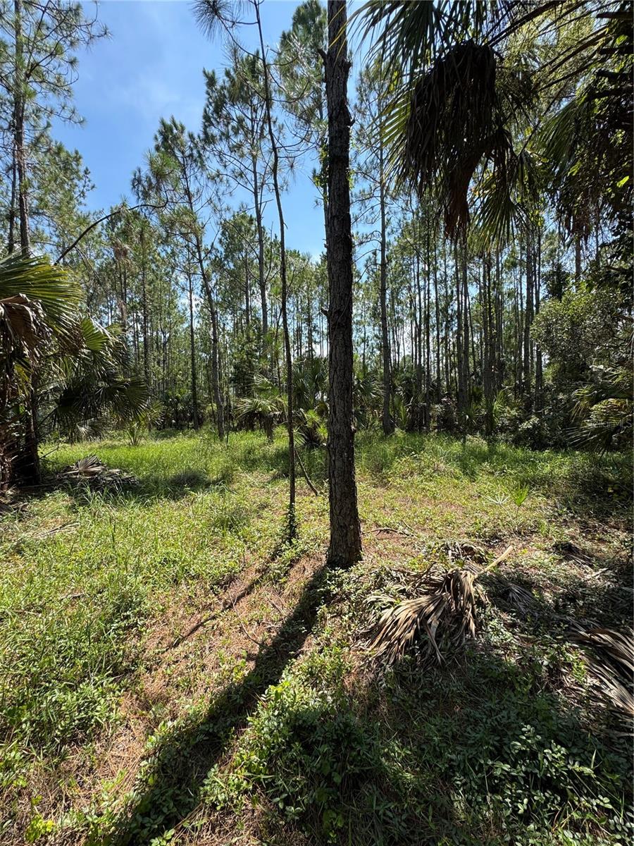 4300 Justa Rd Property Photo 12