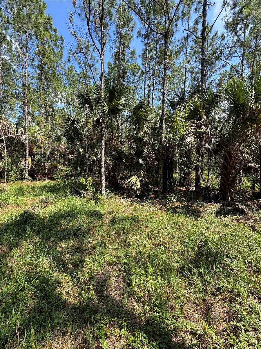 4300 Justa Rd Property Photo 13