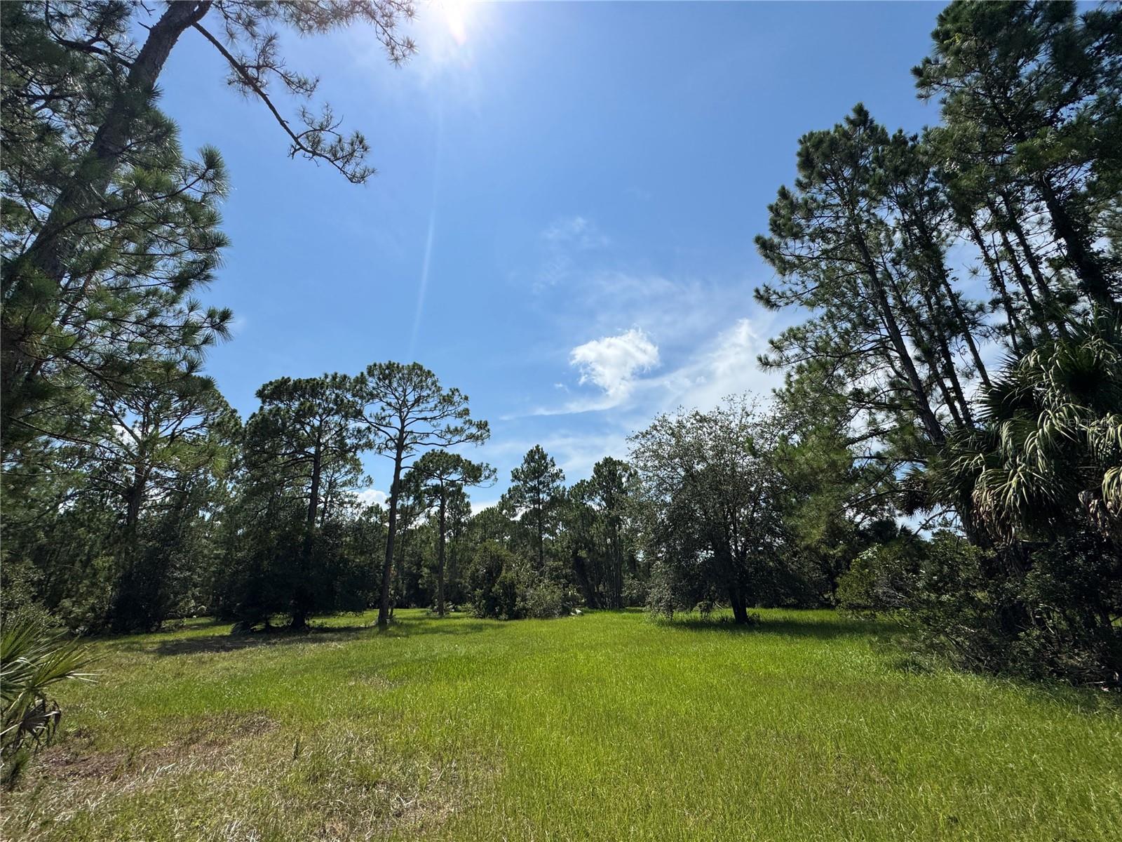 4300 Justa Rd Property Photo 14