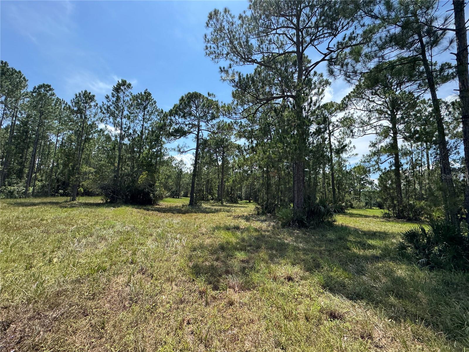 4300 Justa Rd Property Photo 15