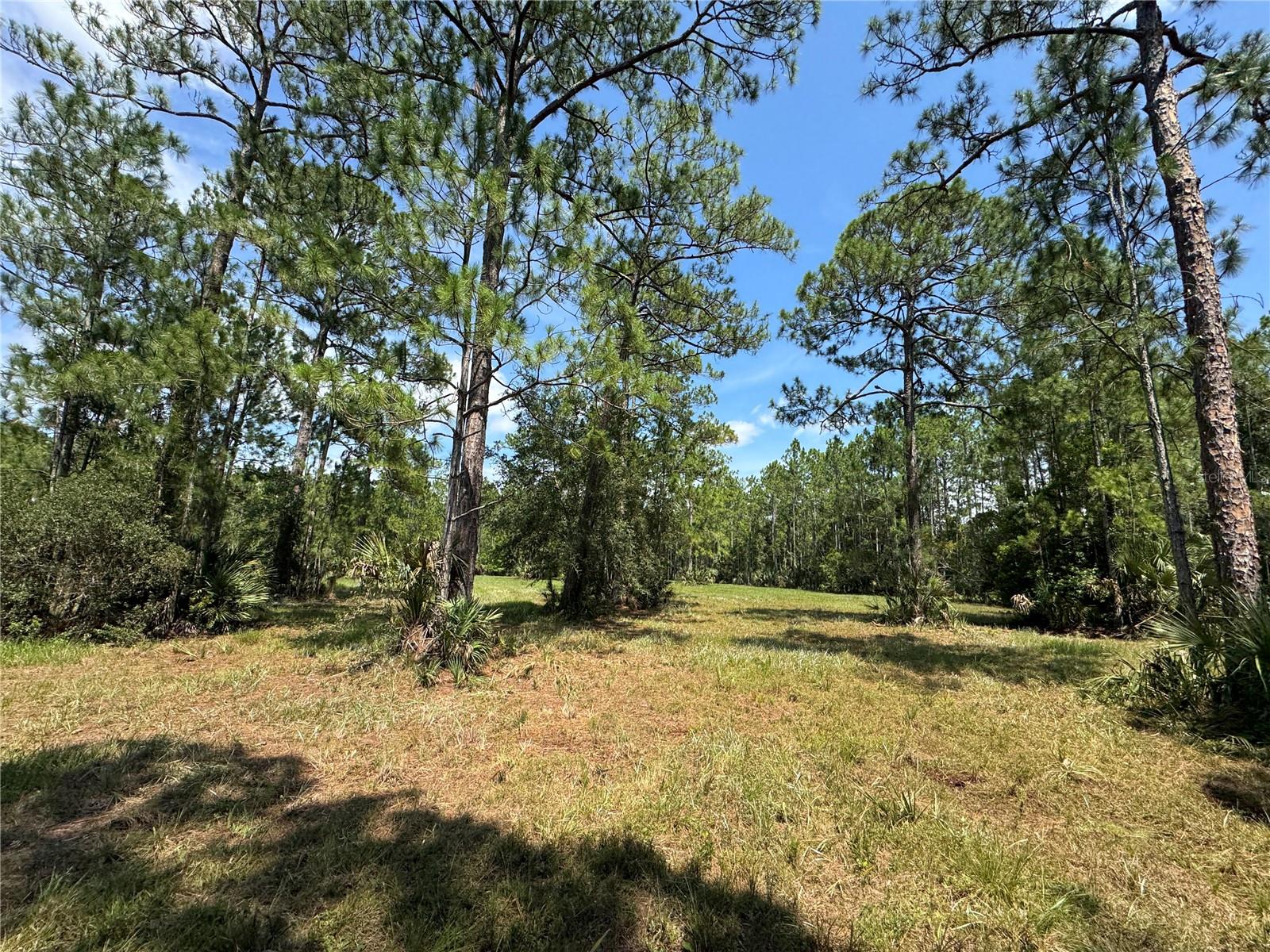 4300 Justa Rd Property Photo 17