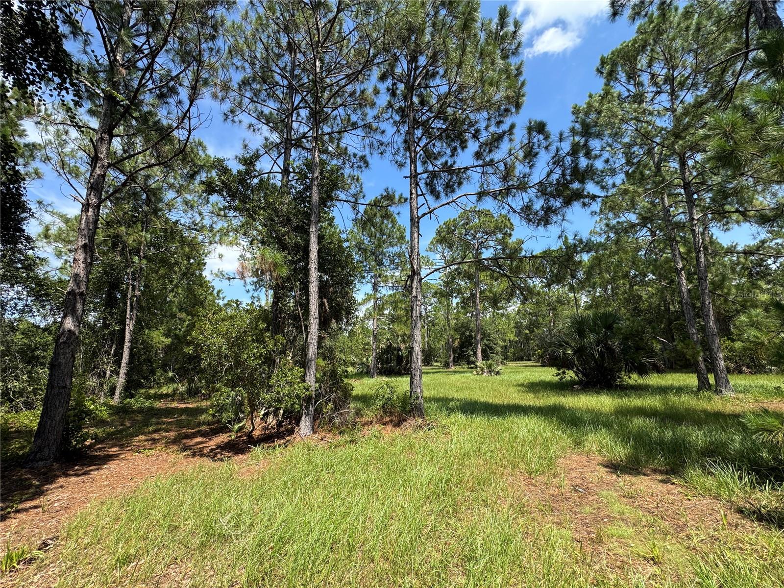 4300 Justa Rd Property Photo 19