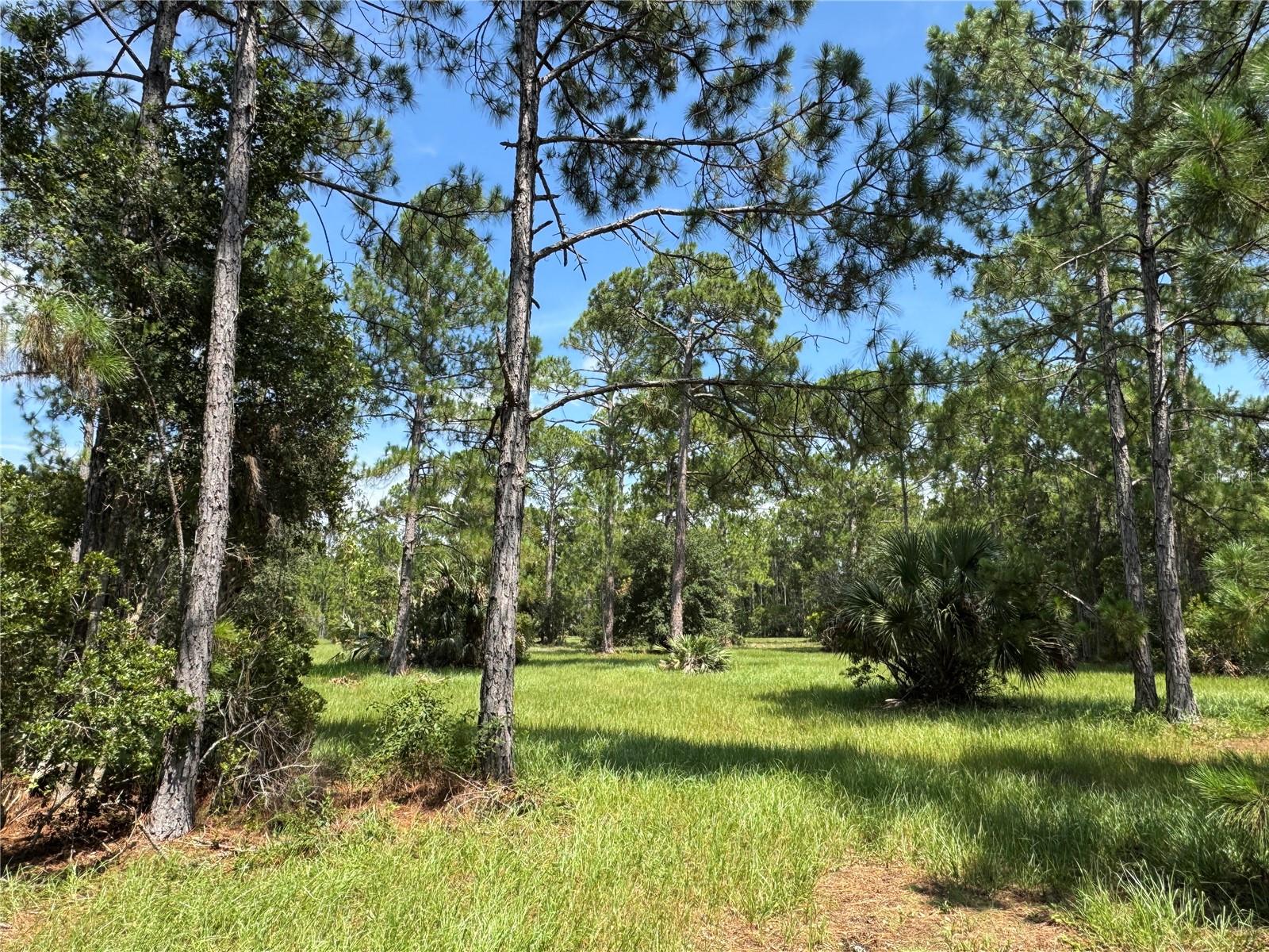 4300 Justa Rd Property Photo 20