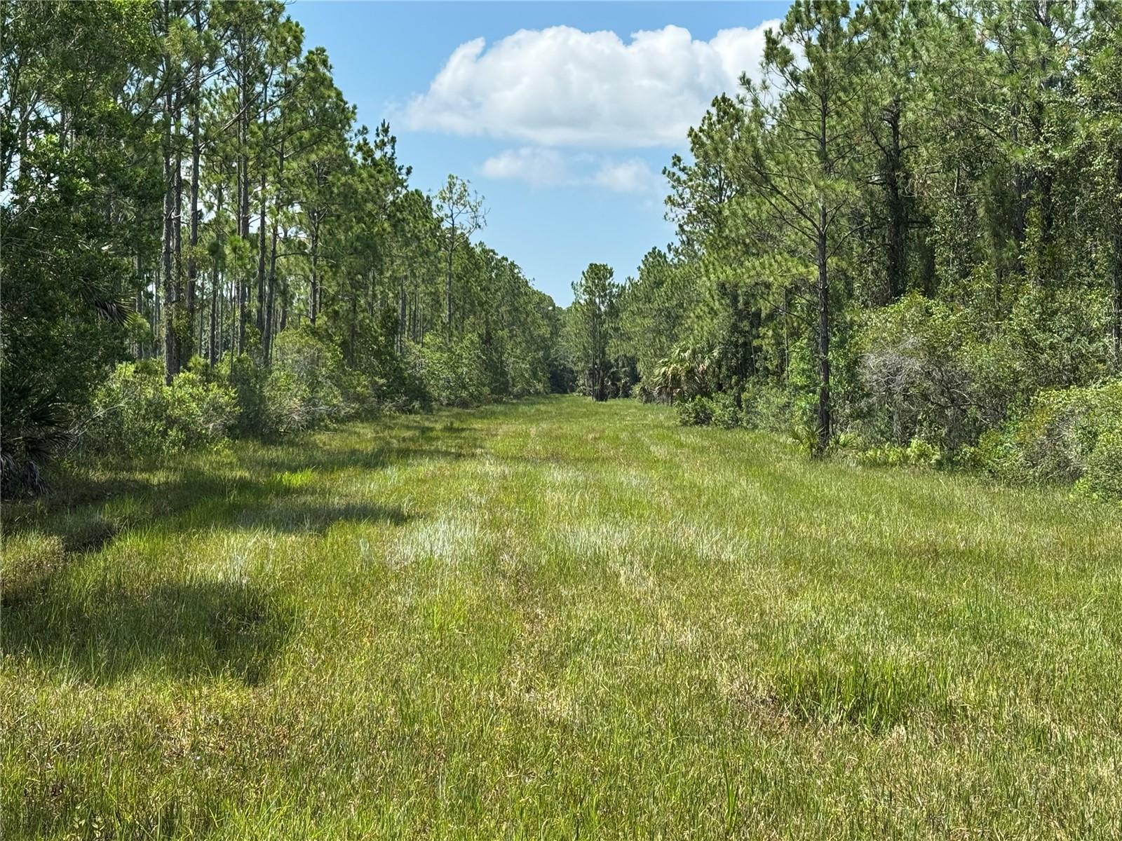 4300 Justa Rd Property Photo 26