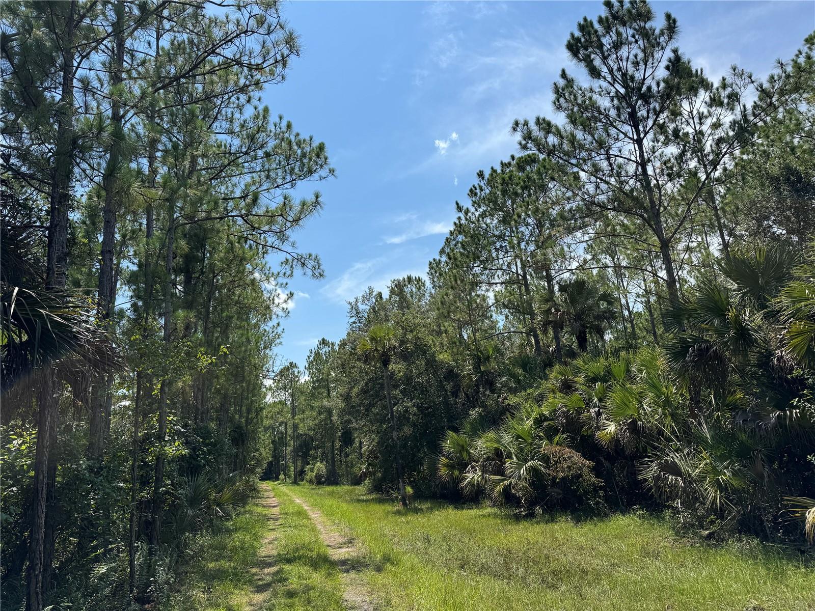 4300 Justa Rd Property Photo 27