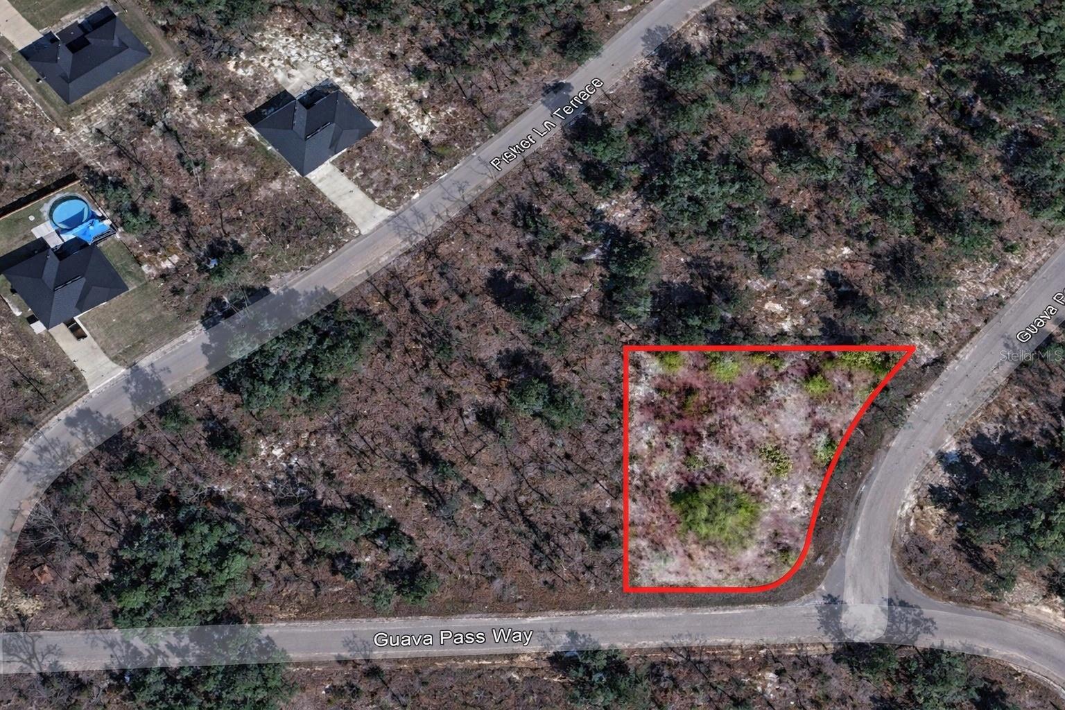 Guava Pass Pl Property Photo 1