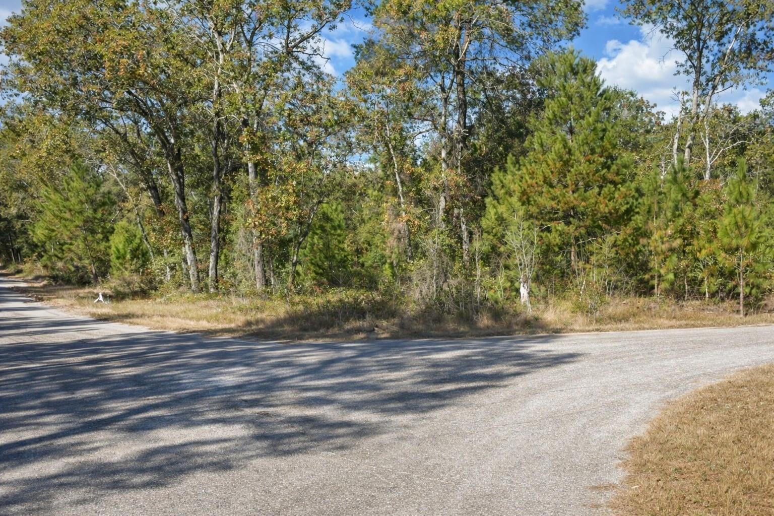 Guava Pass Pl Property Photo 2