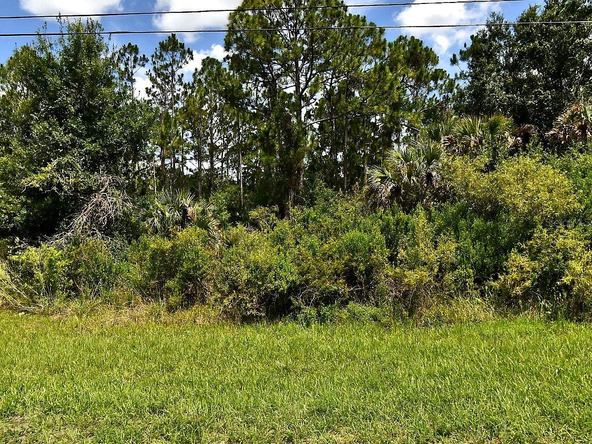 Tropicaire Blvd Property Photo 1