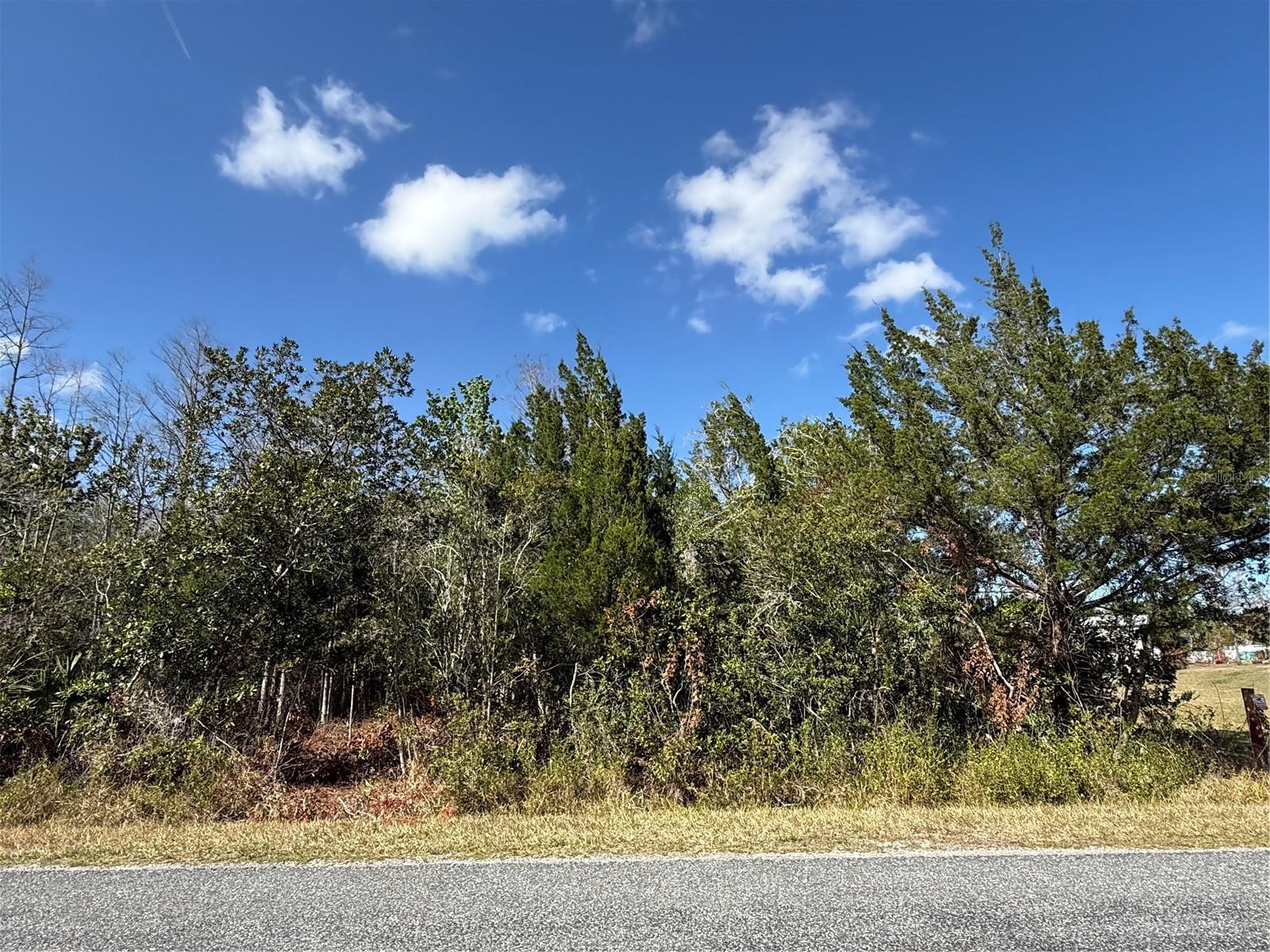 Jupiter Dr Property Photo 4