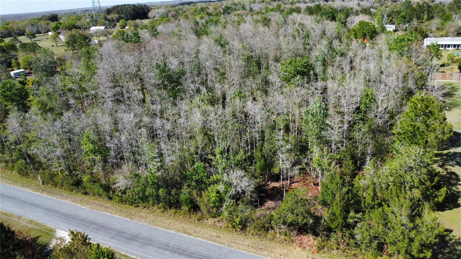Jupiter Dr Property Photo 5