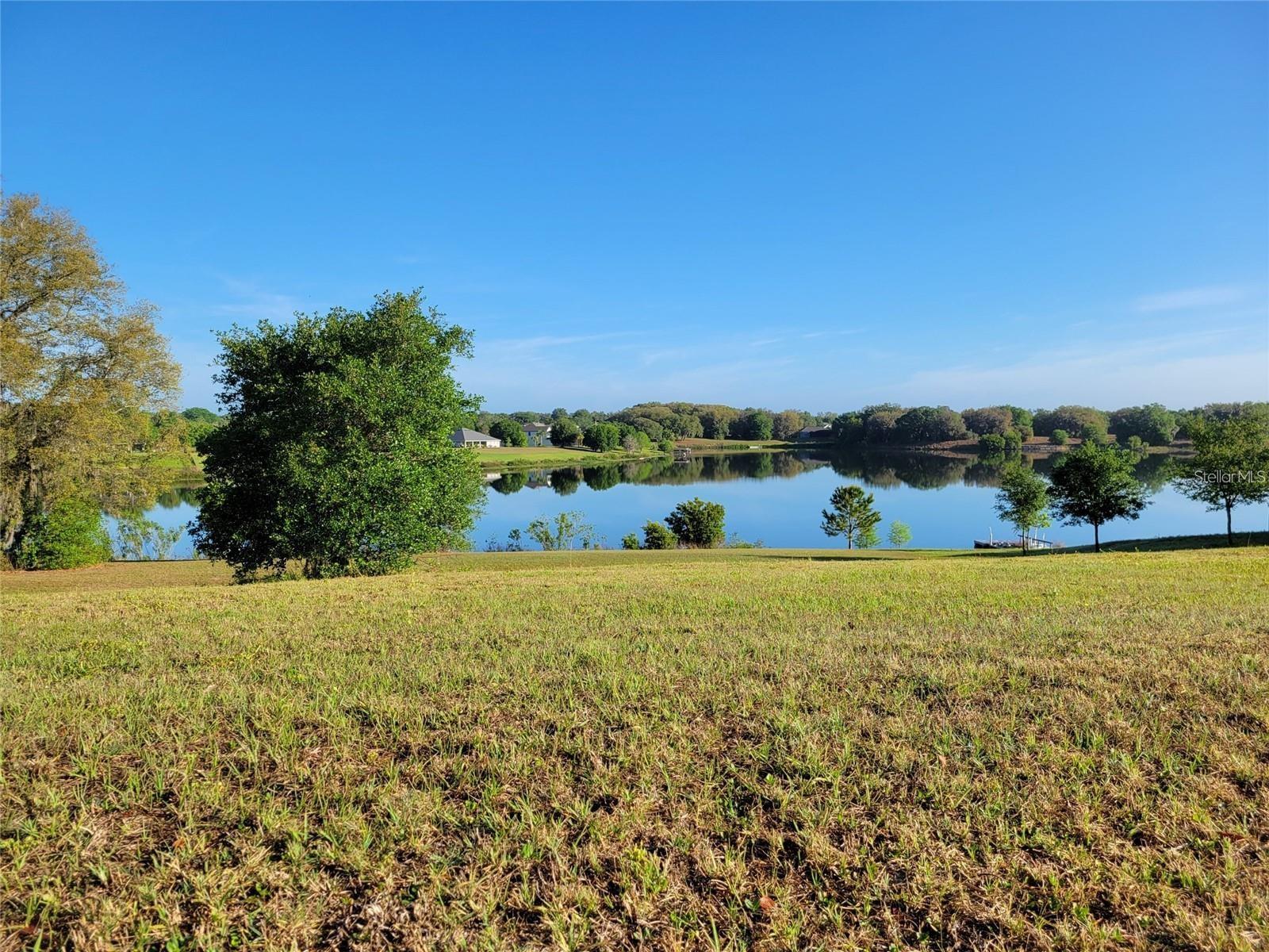 36717 Barrington Dr Property Photo 1
