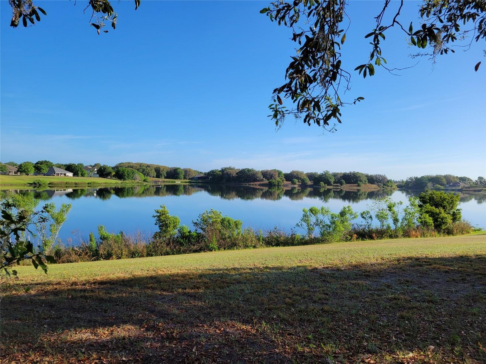 36717 Barrington Dr Property Photo 4