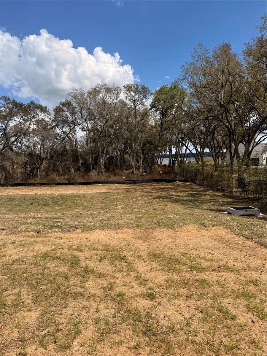 3802 Marigold Belle Cir Property Photo 2