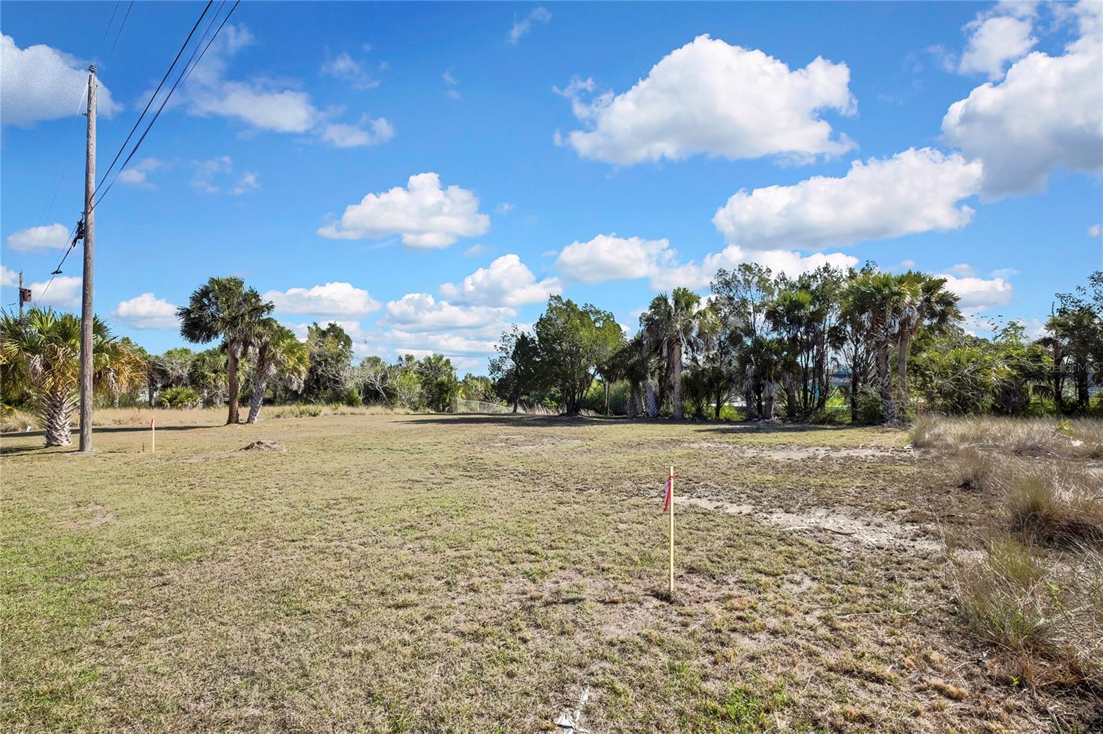 3202 Rose Arbor Dr Property Photo 4