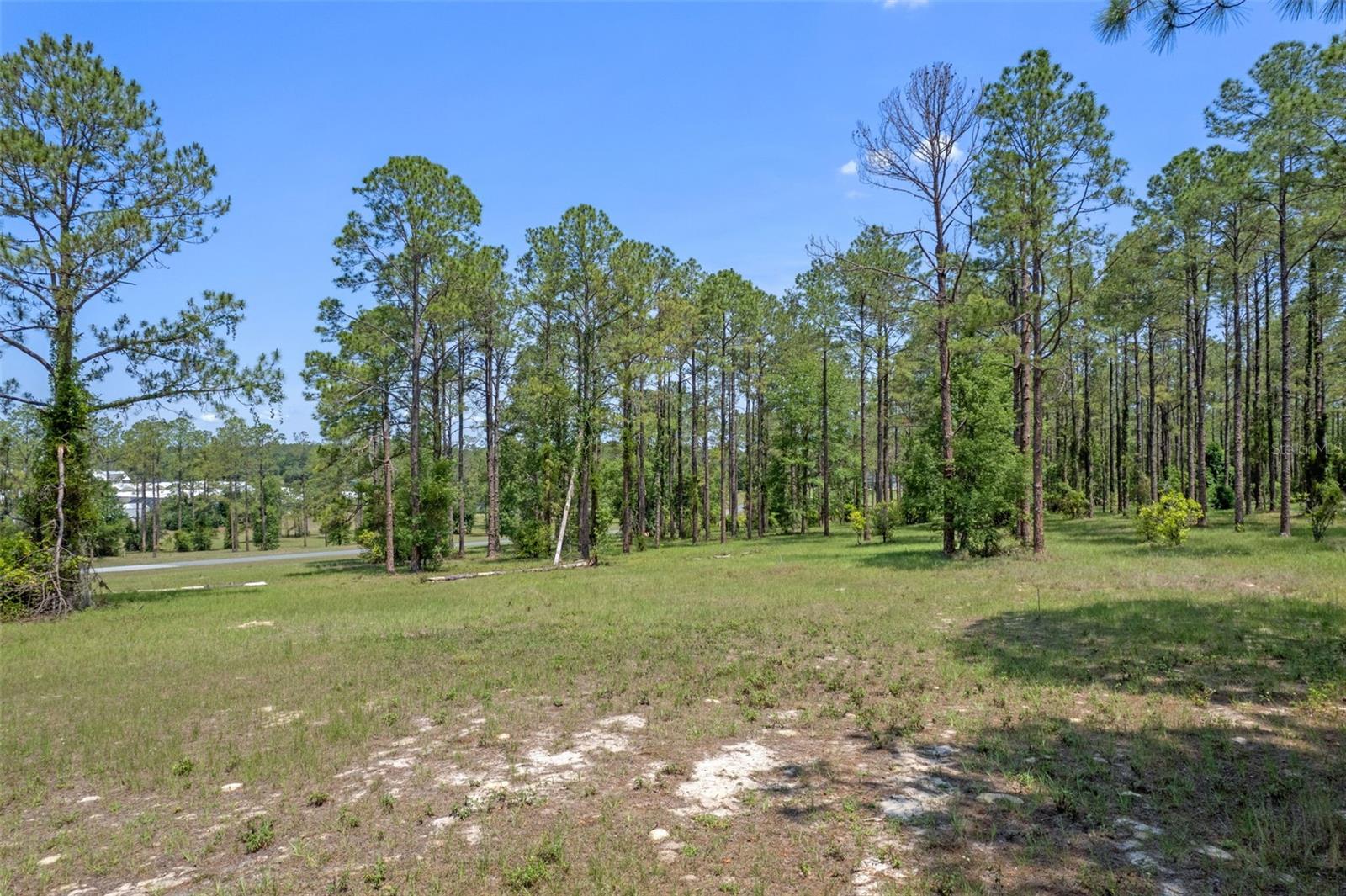 35408 Pinegate Trl Property Photo 2