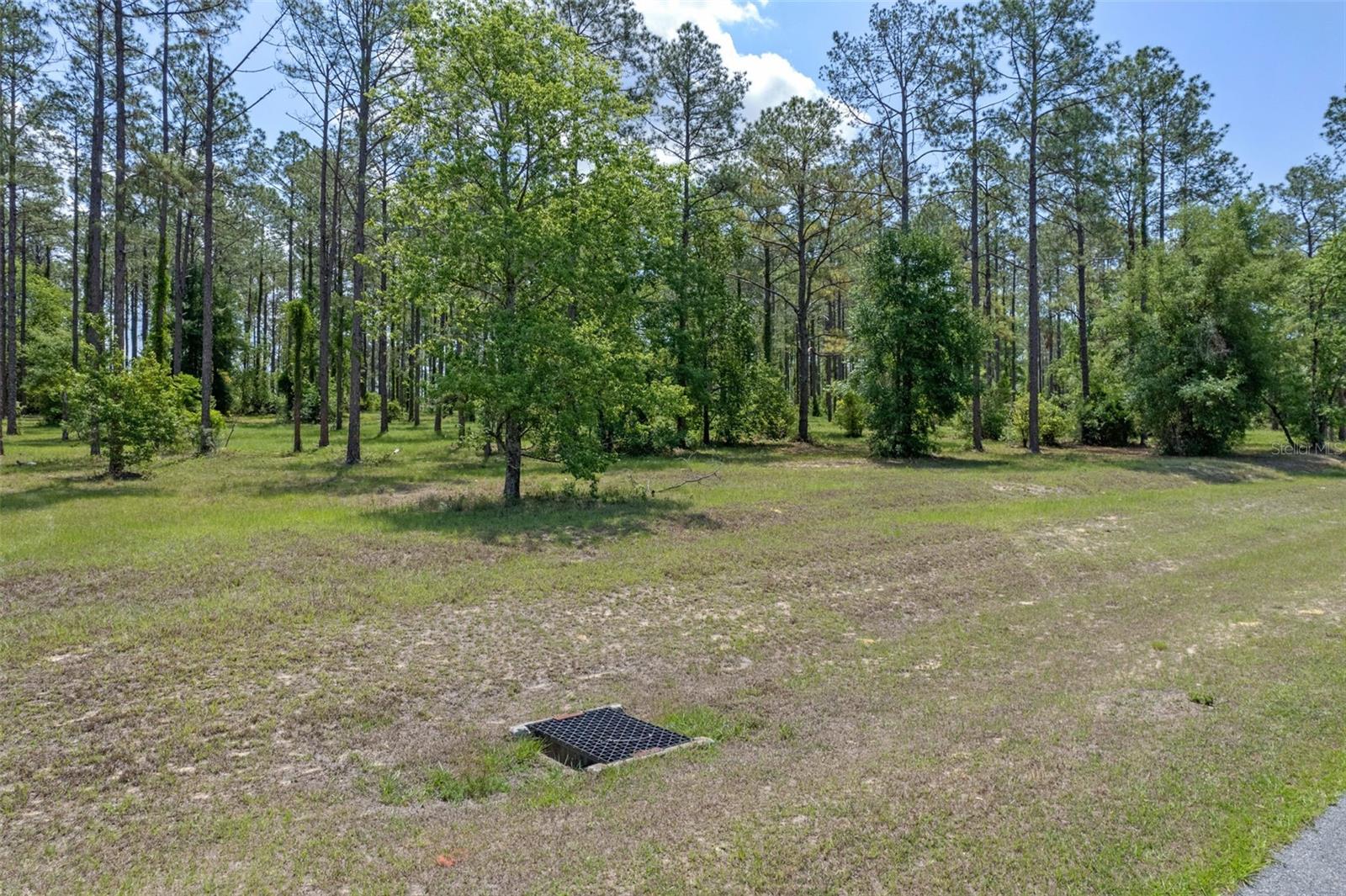 35408 Pinegate Trl Property Photo 3
