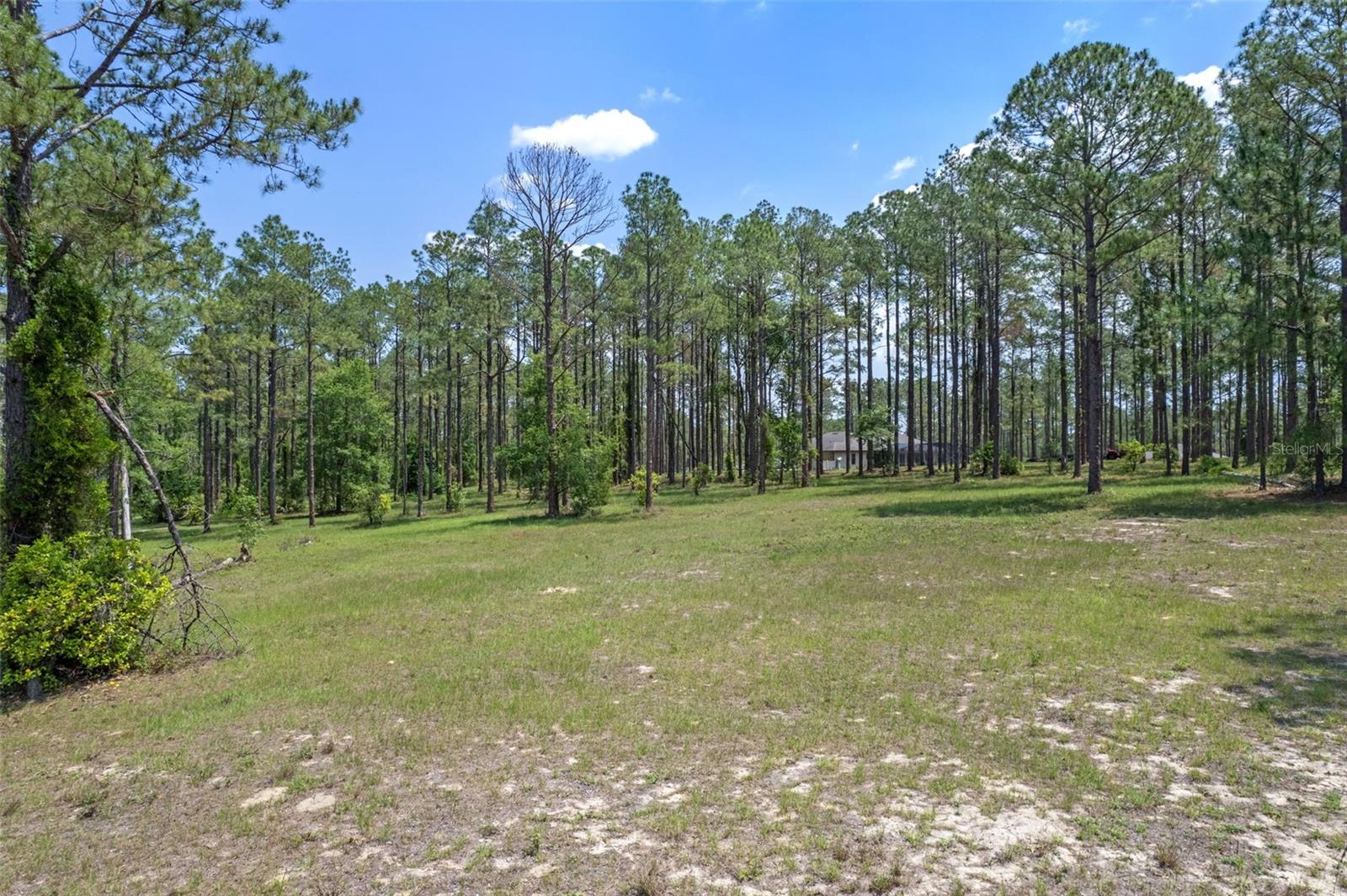 35408 Pinegate Trl Property Photo 5