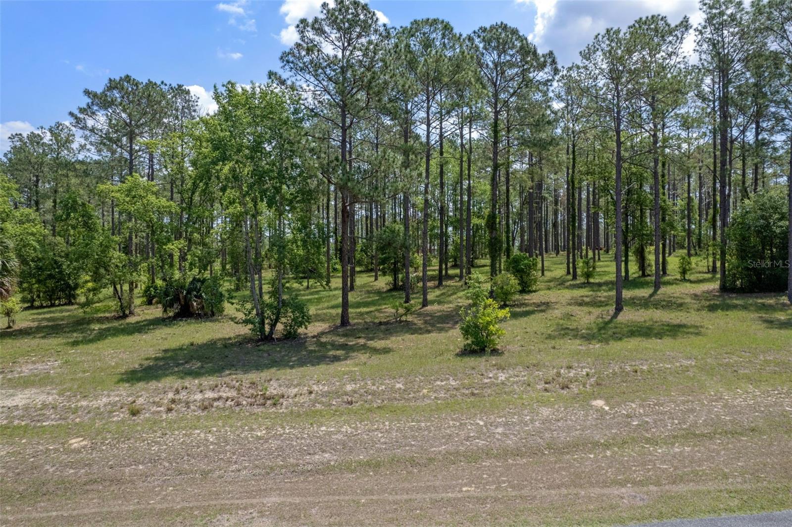 35408 Pinegate Trl Property Photo 7