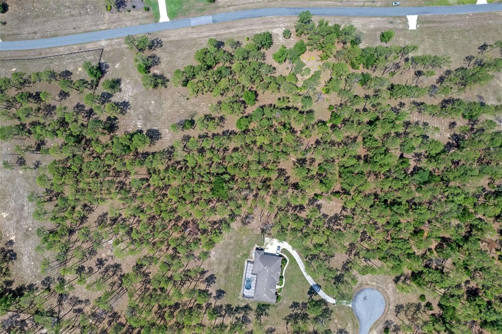 35408 Pinegate Trl Property Photo 8