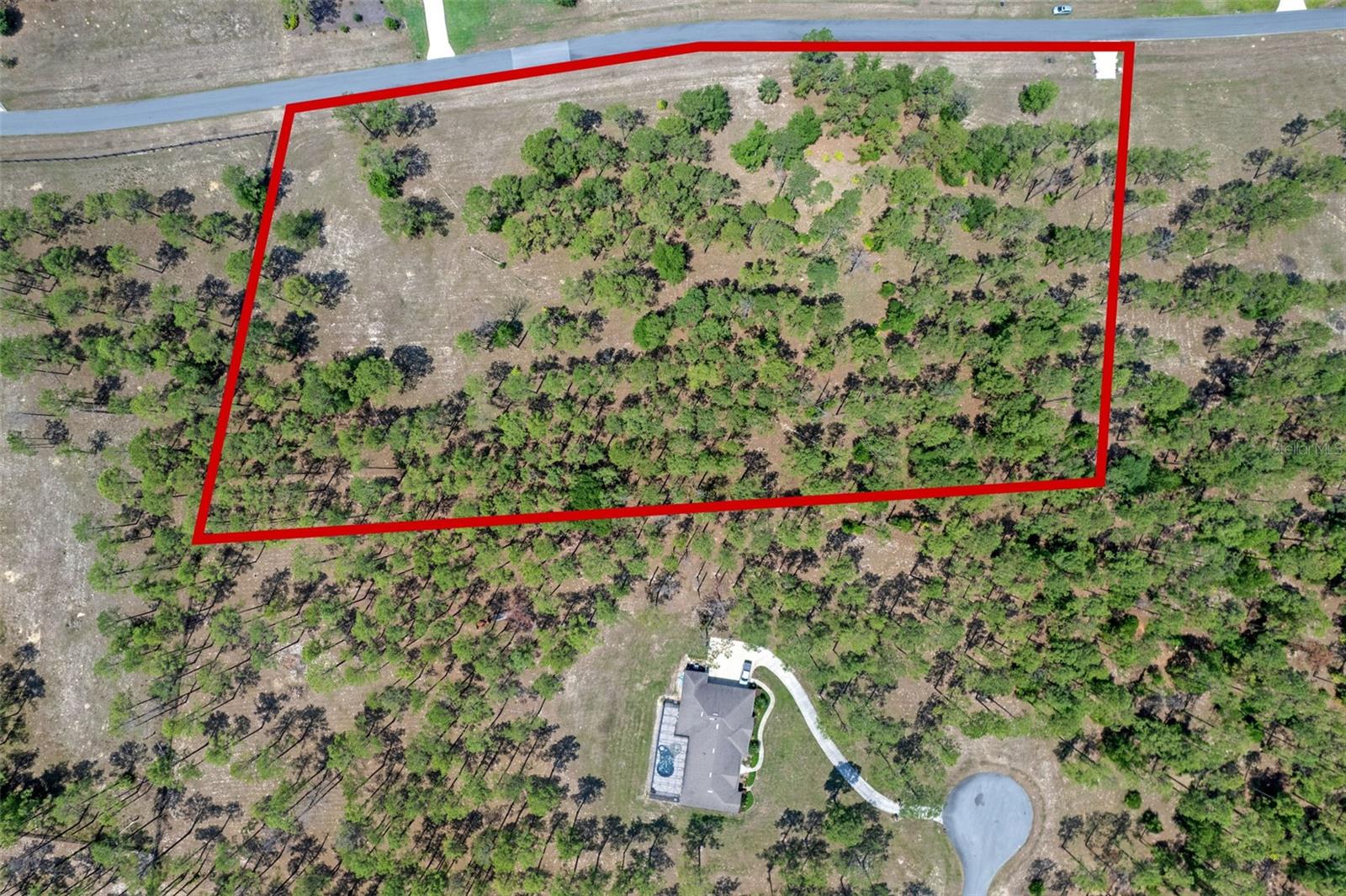35408 Pinegate Trl Property Photo 9