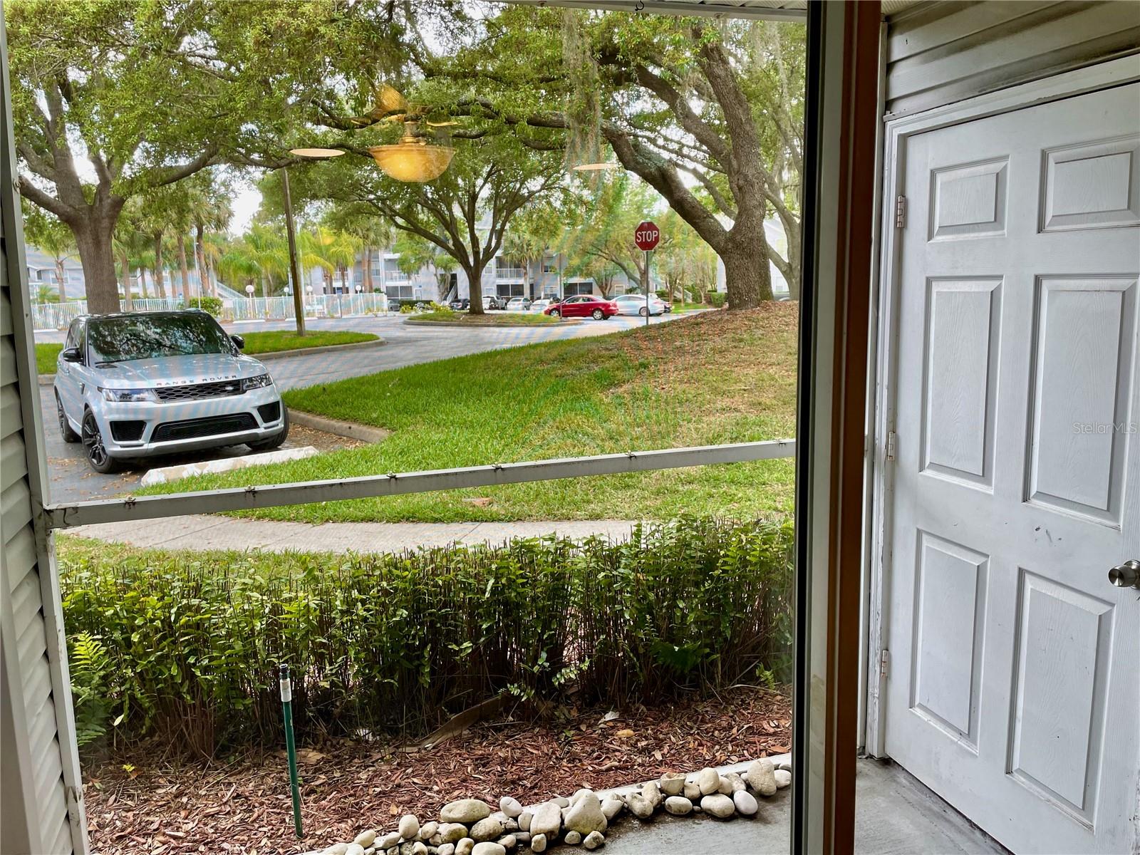 2521 Grassy Point Dr #101 Property Photo 12