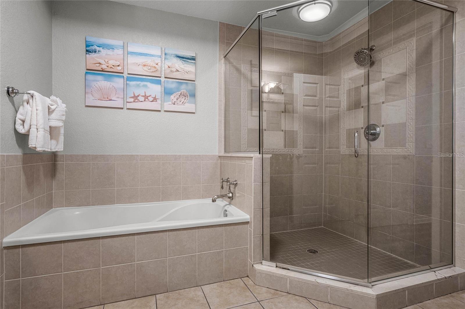 1102 Sunset View Cir #204 Property Photo 15