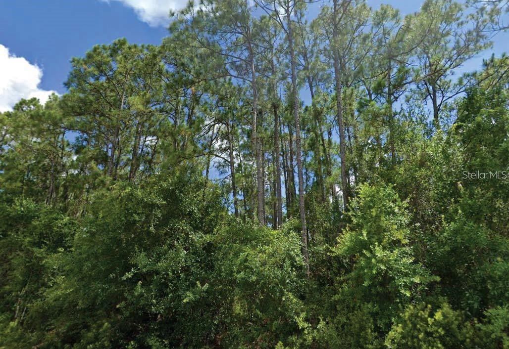 Langsom Ln Property Photo 1