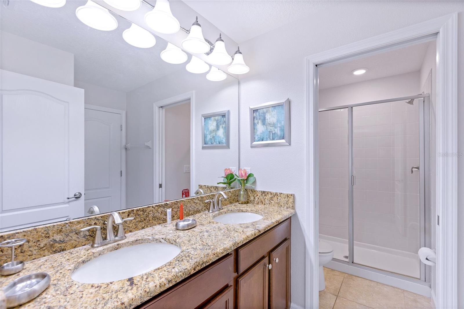 9023 Shadow Mountain St Property Photo 47