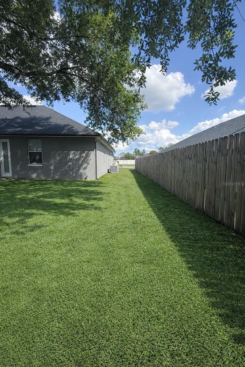 2240 Bagdad Ave Property Photo 42