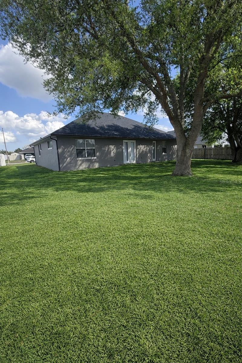 2240 Bagdad Ave Property Photo 43