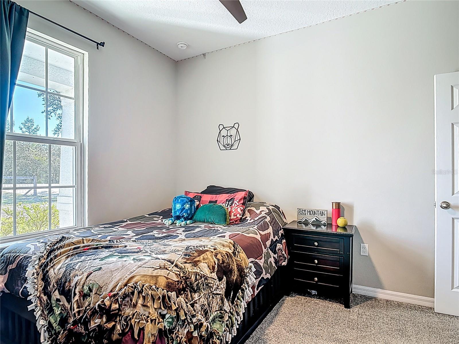 39641 Royal Trails Rd Property Photo 37
