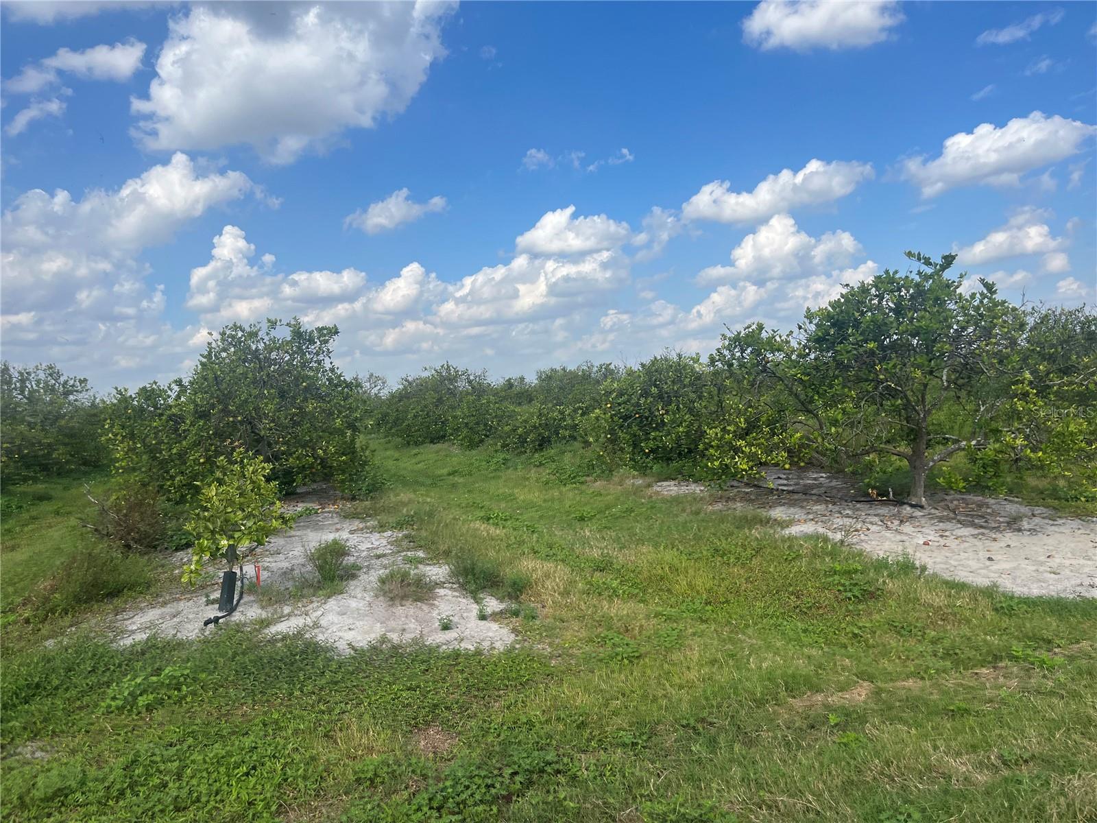 Ne Hwy 70 Property Photo 2