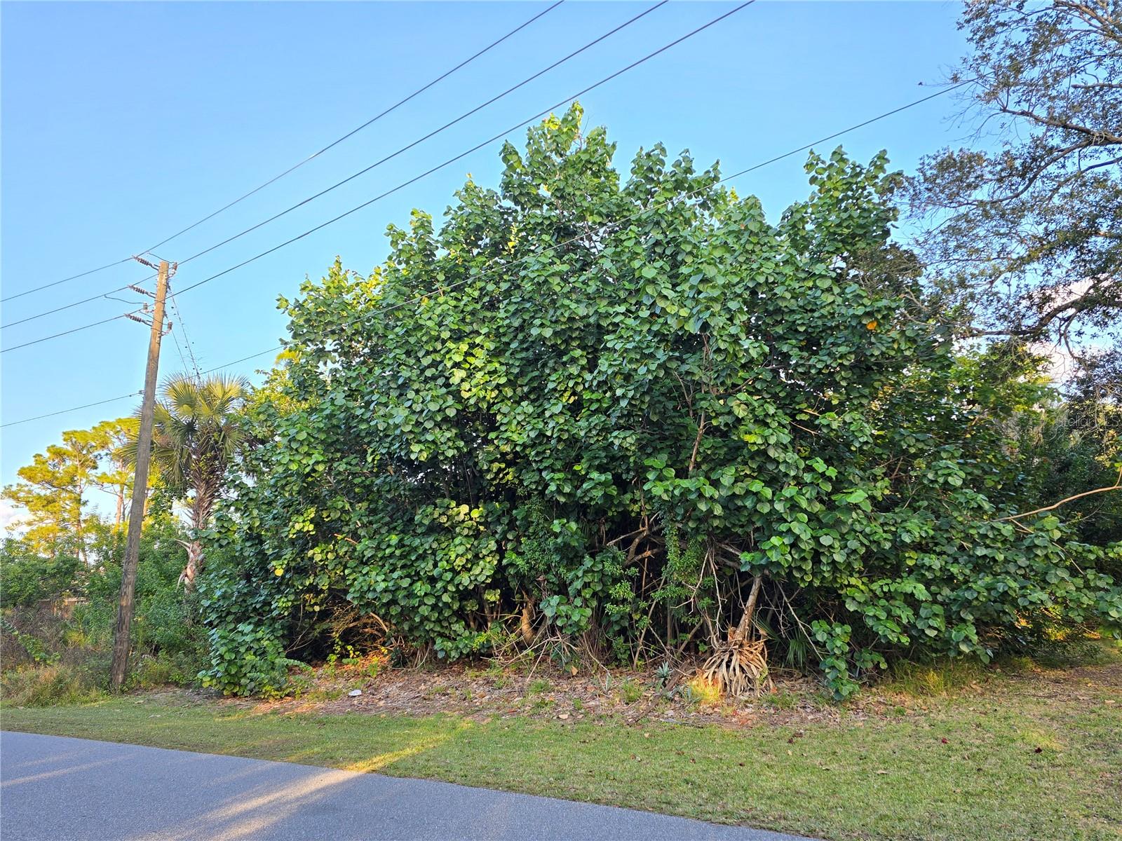 1667 Red Bud Cir Nw Property Photo 13