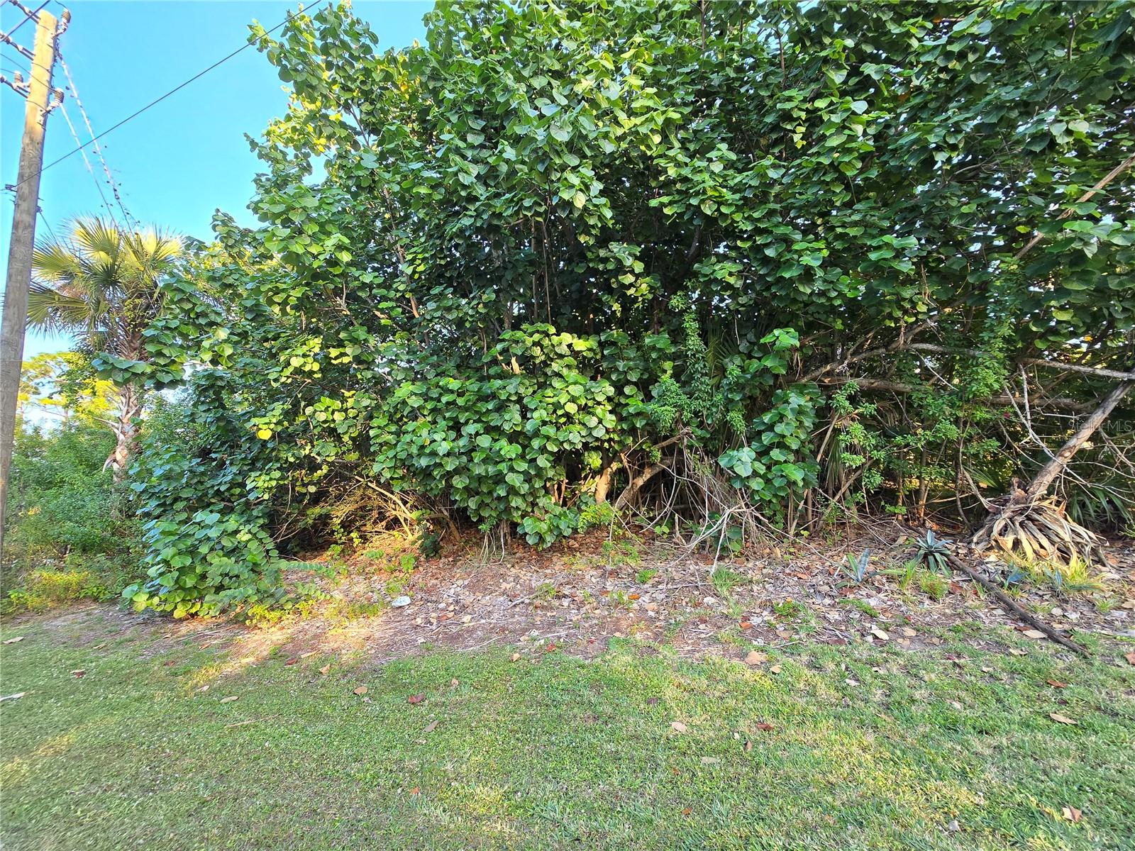 1667 Red Bud Cir Nw Property Photo 14
