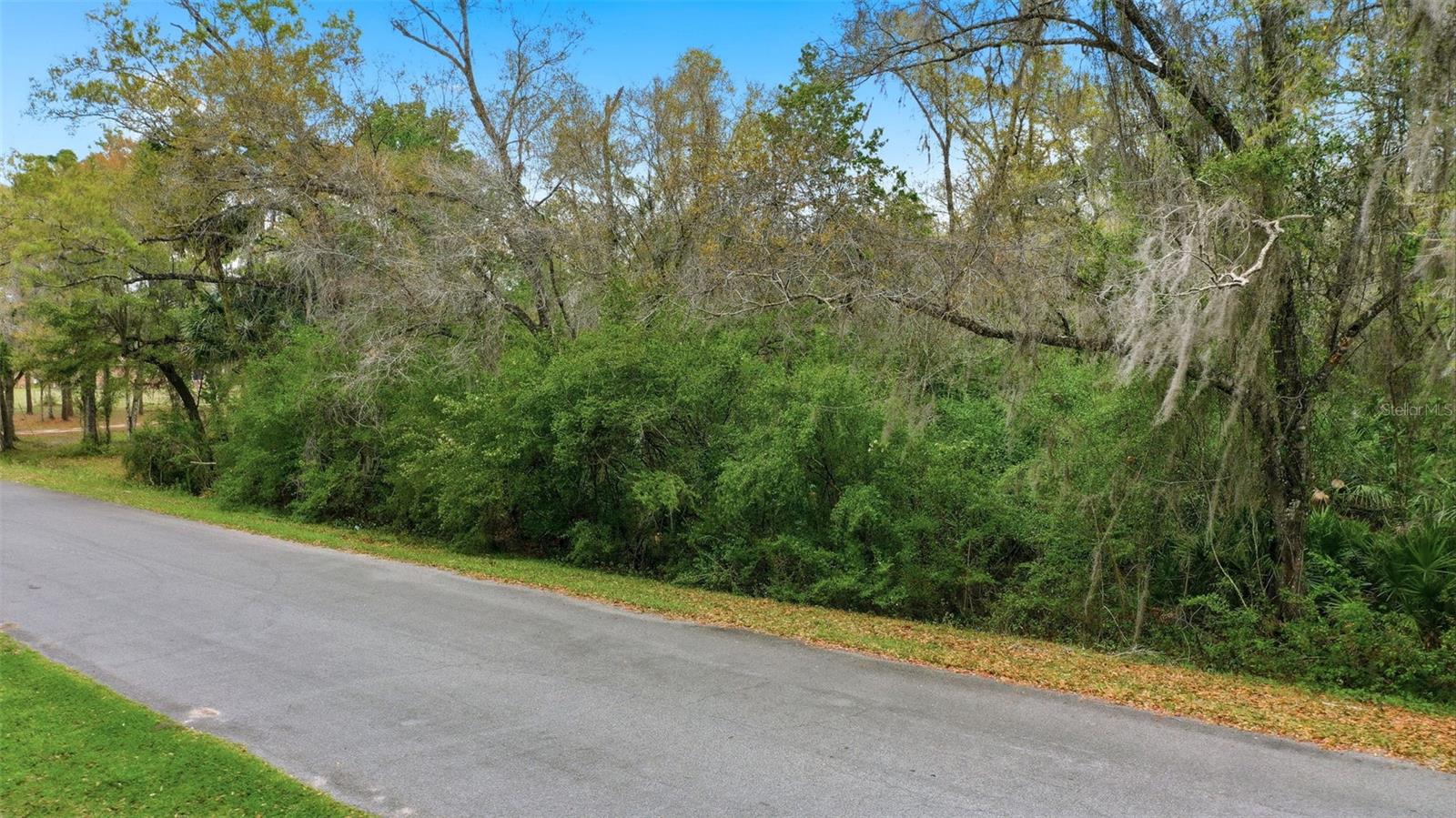 QUINLAN ST Property Photo 1