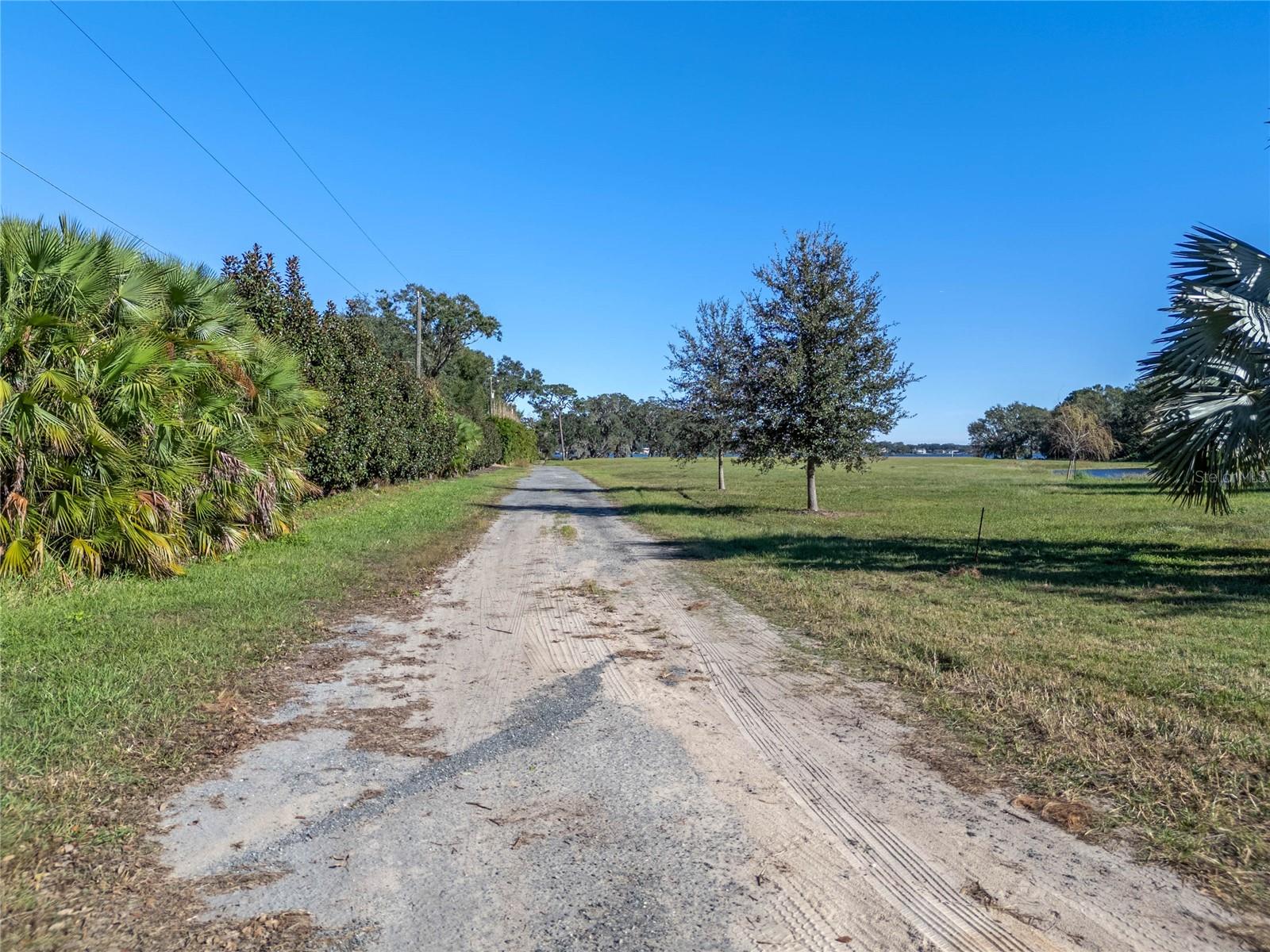 10948 Down Park Ln Property Photo 21